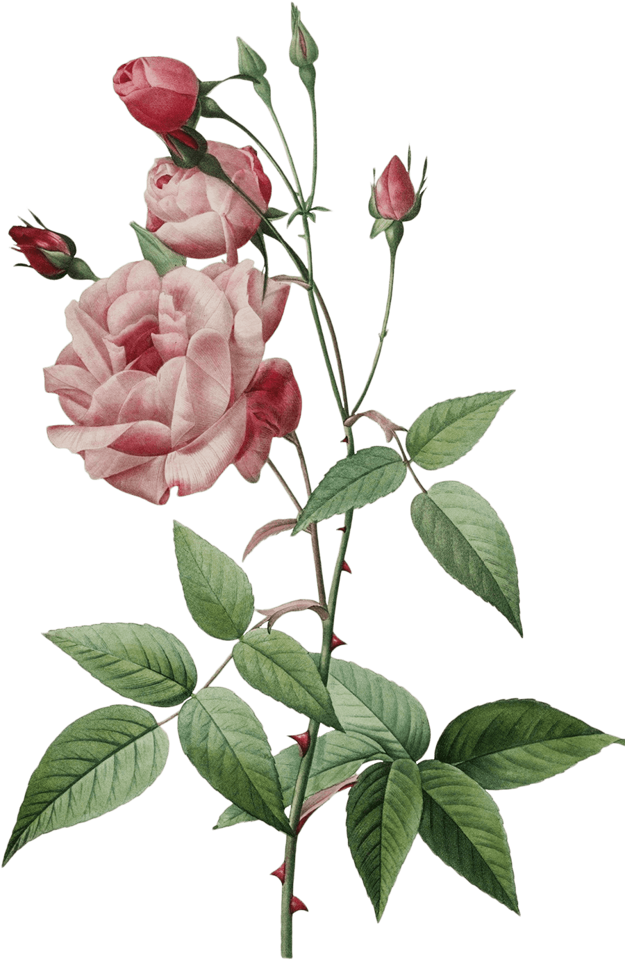 Flower decoration